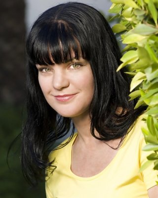 Pauley Perrette