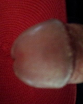 Dick #27549068