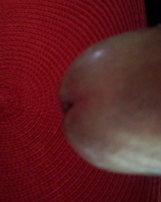 Dick #27549074