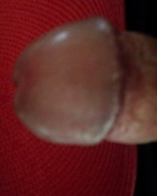 Dick #27549081