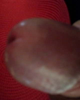 Dick #27549092