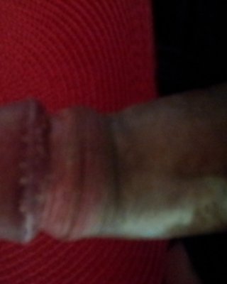 Dick #27549101