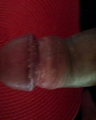 Dick #27549108