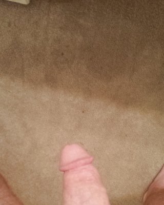 Jungschwanz #25644229