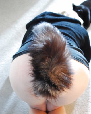 Tail Butt Pluged, Have U Others?