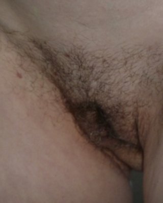 Haarige Sammlung #27390335
