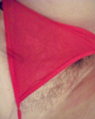 Pussy Bilder Mit Riemen #36699243