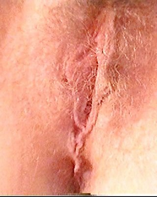 Hairy amateur wife pink pussy round anus nice ass cum  #32273614