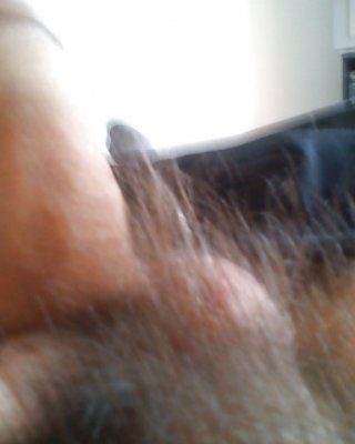 Mein Schwanz Wie Pervers #37825424