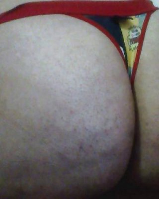 Große Brasilianische Esel - Grandes Bundas Brazileiras #25218350