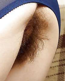 Haarige Pussys #26307110