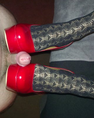 Hahn Auf Sexy Roten Aldo Fersen Mit Muster Strümpfe #24238739
