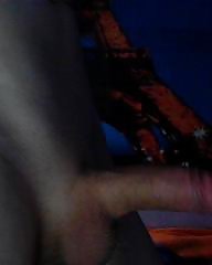 Mein Schwanz #39993154