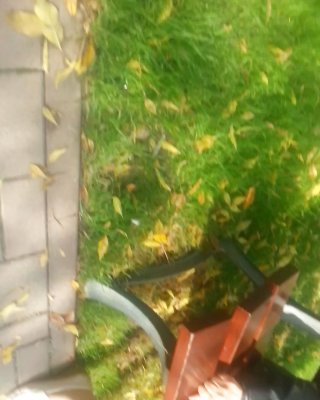 Reifen Füße Rumänisch #24537153