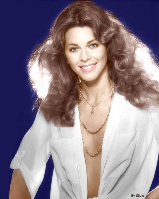 Let's Jerk Off Over ... Lindsay Wagner (Bionic Woman) #23625728