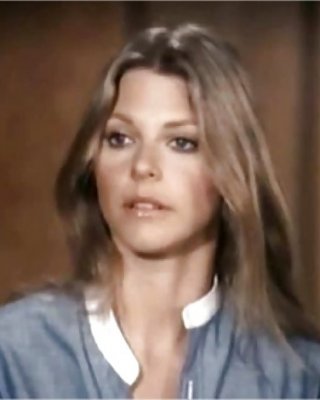 Let's Jerk Off Over ... Lindsay Wagner (Bionic Woman) #23625767