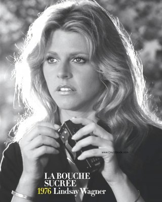 Let's Jerk Off Over ... Lindsay Wagner (Bionic Woman) #23625813