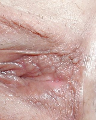 ältere Vulva über 60 #41108222