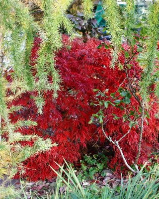 Landschaften Und Blumen #31526460