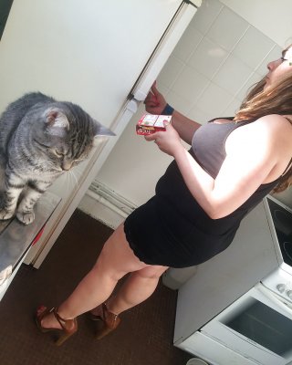 2人の女性が自宅で2回目のセックスをしています。
 #30806077