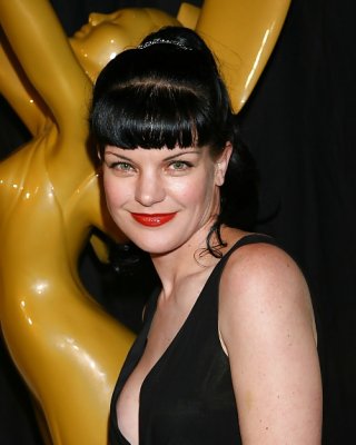 Pauley Perrette 2