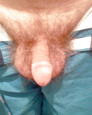 Mein Rudel Und Meine Fertigen #39598502