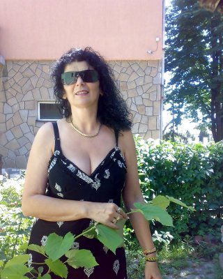 Serbisch Reifen #37945922