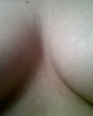 私の元メキシコ人の写真 (ギャラリー3)
 #35156519