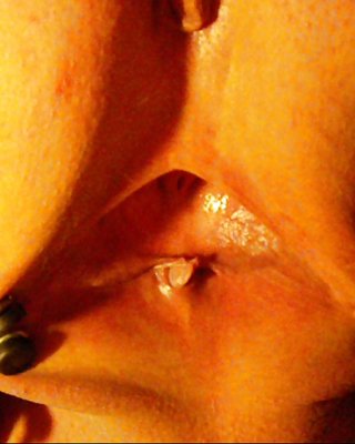 Gedehnte Muschi #35059553