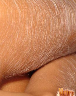 Nahaufnahme von Loris sexy Armhaar
 #67427403