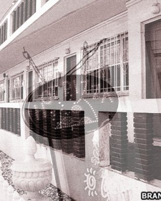 Eine Gruppe geiler Schlampen zerrt kräftig am Schwanz eines Kerls
 #75624079