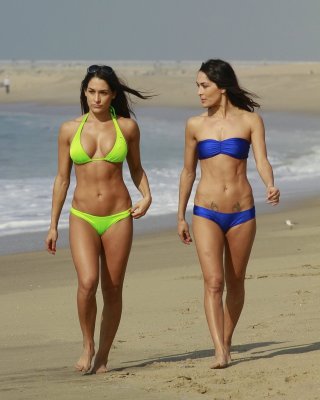 Twins Nude Beach - Bella Twins showing off their bikini curves at the beach in Los Angeles Porn  Pictures, XXX Photos, Sex Images #3233154 - PICTOA