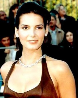 beautiful Brunette Actress Angie Harmon Nudes And See Thrus