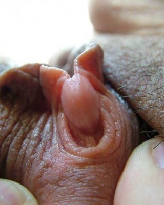 Real Huge Clitoris And Pussylips