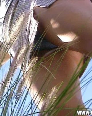 Sneaky Panties Spy Upskirts Outdoors In Sunny Field