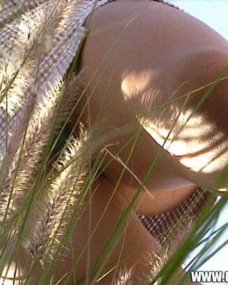 Sneaky Panties Spy Upskirts Outdoors In Sunny Field