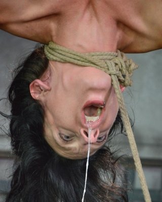 Elise Graves is bound in rope in dungeon and drooling #70795287