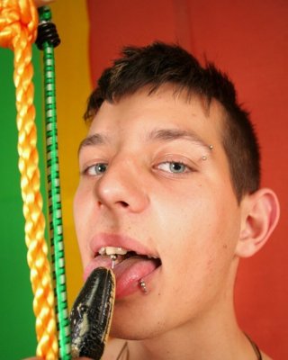 Heißer wunderschöner spielerischer schwuler Twink
 #76936607