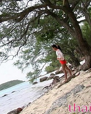 タイの女の子がプライベートビーチでフェラチオをする
 #69964598