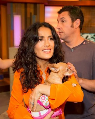 Salma hayek upskirt trägt kurzes orangefarbenes Kleid bei der despierta america Show in miam
 #75225091