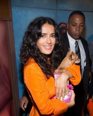 Salma hayek upskirt trägt kurzes orangefarbenes Kleid bei der despierta america Show in miam
 #75225093