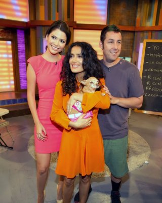 Salma hayek upskirt trägt kurzes orangefarbenes Kleid bei der despierta america Show in miam
 #75225095