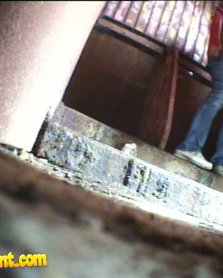 不運にも盗撮されたトイレで小便をする2人の若い女性 
 #78694618