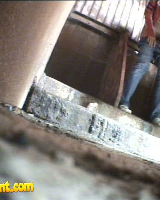 不運にも盗撮されたトイレで小便をする2人の若い女性 
 #78694619