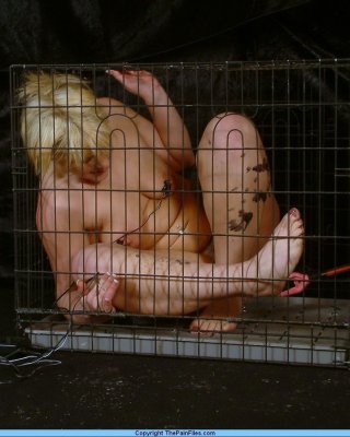 Crystel Leis Electro Bdsm And Extreme Caged Cattle Prod Punishment To Tears Of T