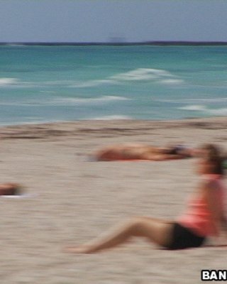 Hahn saugen Ball Honig schüttelt asiatische dumpa auf Hahn am Strand
 #69986595