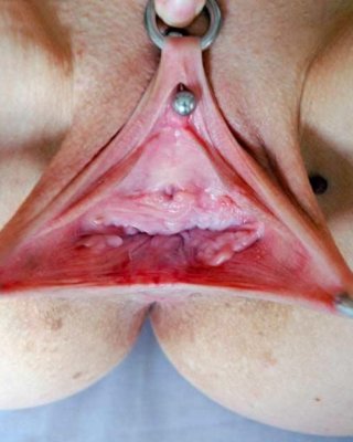 extremely Pierced And Bondaged Pussies