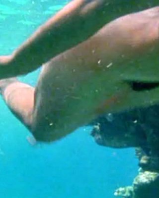 Phoebe Cates pussy Phoebe Cates showing her nice big tits and hairy pussy in water Porn  Pictures, XXX Photos, Sex Images #3247102 - PICTOA