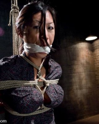 Asian Rough Bondage Sex - Asian girl Tia Ling in rope bondage and having rough sex Porn Pictures, XXX  Photos, Sex Images #3027619 - PICTOA