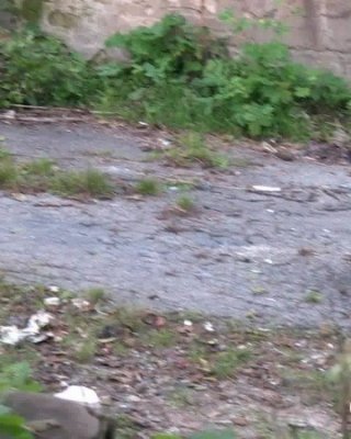 Dunkelhaariges Mädchen will unbedingt draußen pissen
 #67498791